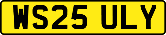 WS25ULY