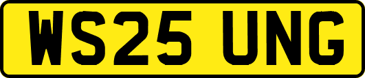 WS25UNG