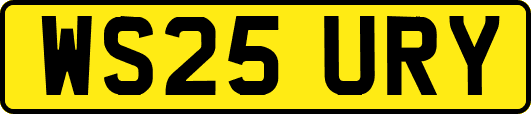 WS25URY