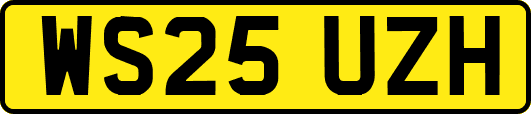 WS25UZH