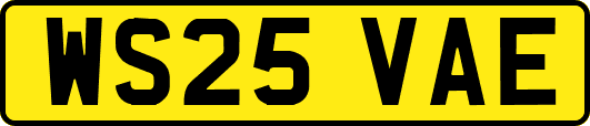 WS25VAE