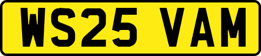 WS25VAM