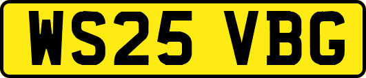 WS25VBG