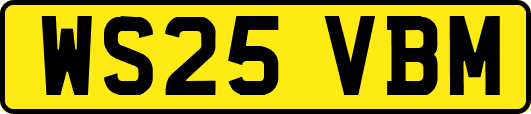 WS25VBM