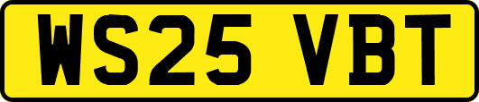 WS25VBT