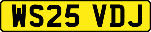 WS25VDJ
