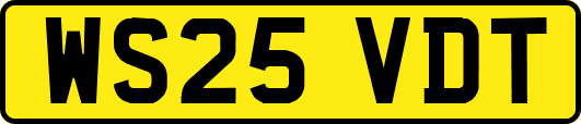 WS25VDT
