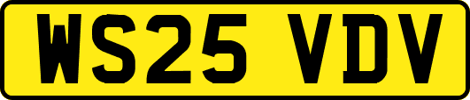 WS25VDV