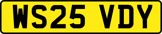 WS25VDY
