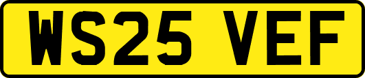 WS25VEF