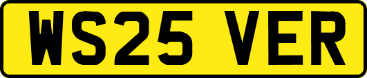 WS25VER