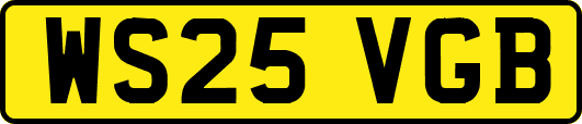 WS25VGB
