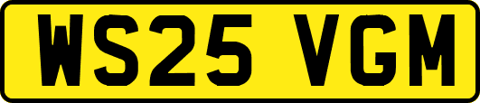 WS25VGM