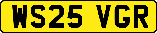 WS25VGR