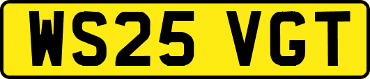 WS25VGT