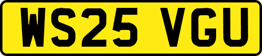 WS25VGU