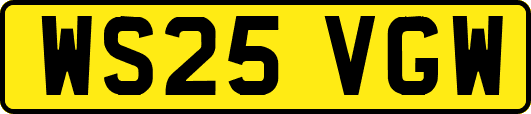 WS25VGW