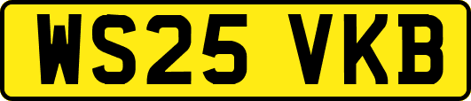 WS25VKB
