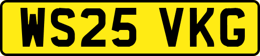 WS25VKG