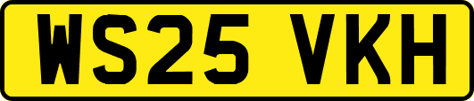 WS25VKH