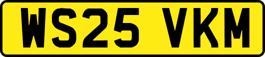 WS25VKM