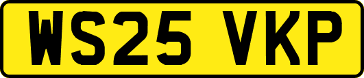 WS25VKP