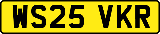 WS25VKR