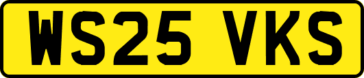 WS25VKS