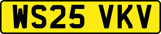 WS25VKV
