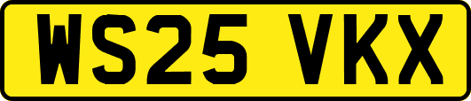 WS25VKX