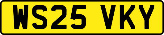 WS25VKY