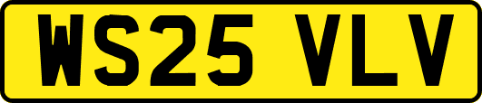 WS25VLV
