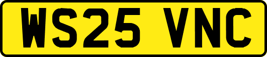 WS25VNC