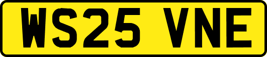 WS25VNE