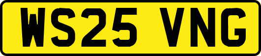 WS25VNG