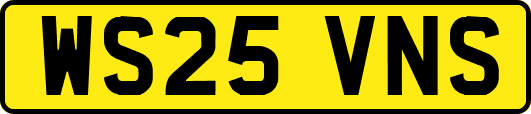 WS25VNS