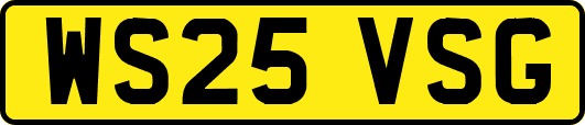 WS25VSG