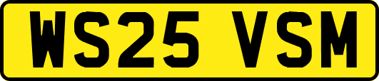 WS25VSM