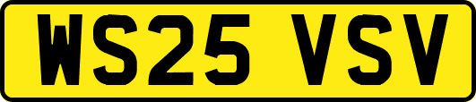 WS25VSV