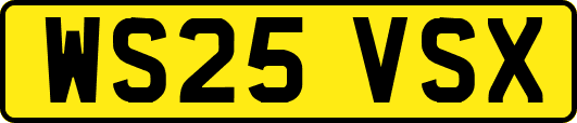 WS25VSX