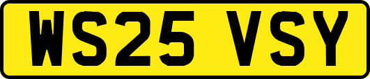 WS25VSY