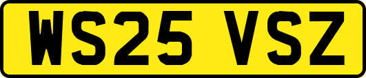 WS25VSZ