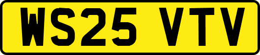 WS25VTV