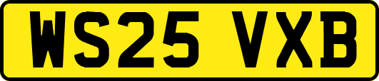 WS25VXB
