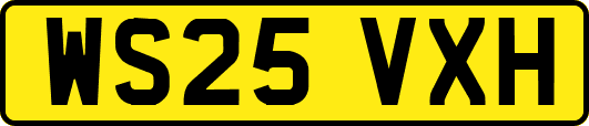 WS25VXH