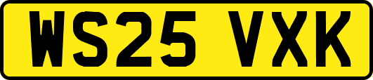 WS25VXK