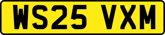 WS25VXM
