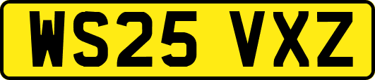 WS25VXZ