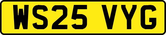 WS25VYG