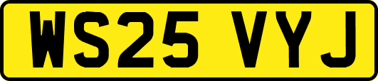 WS25VYJ